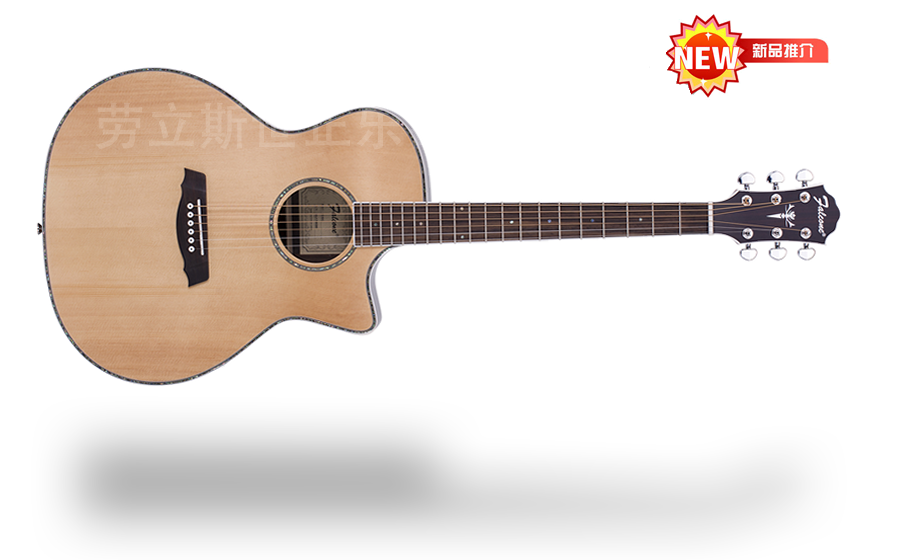 山东劳立斯世正乐器有限公司 FG60C 